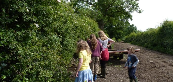 Counting hedgerow species on a CPRE farm walk