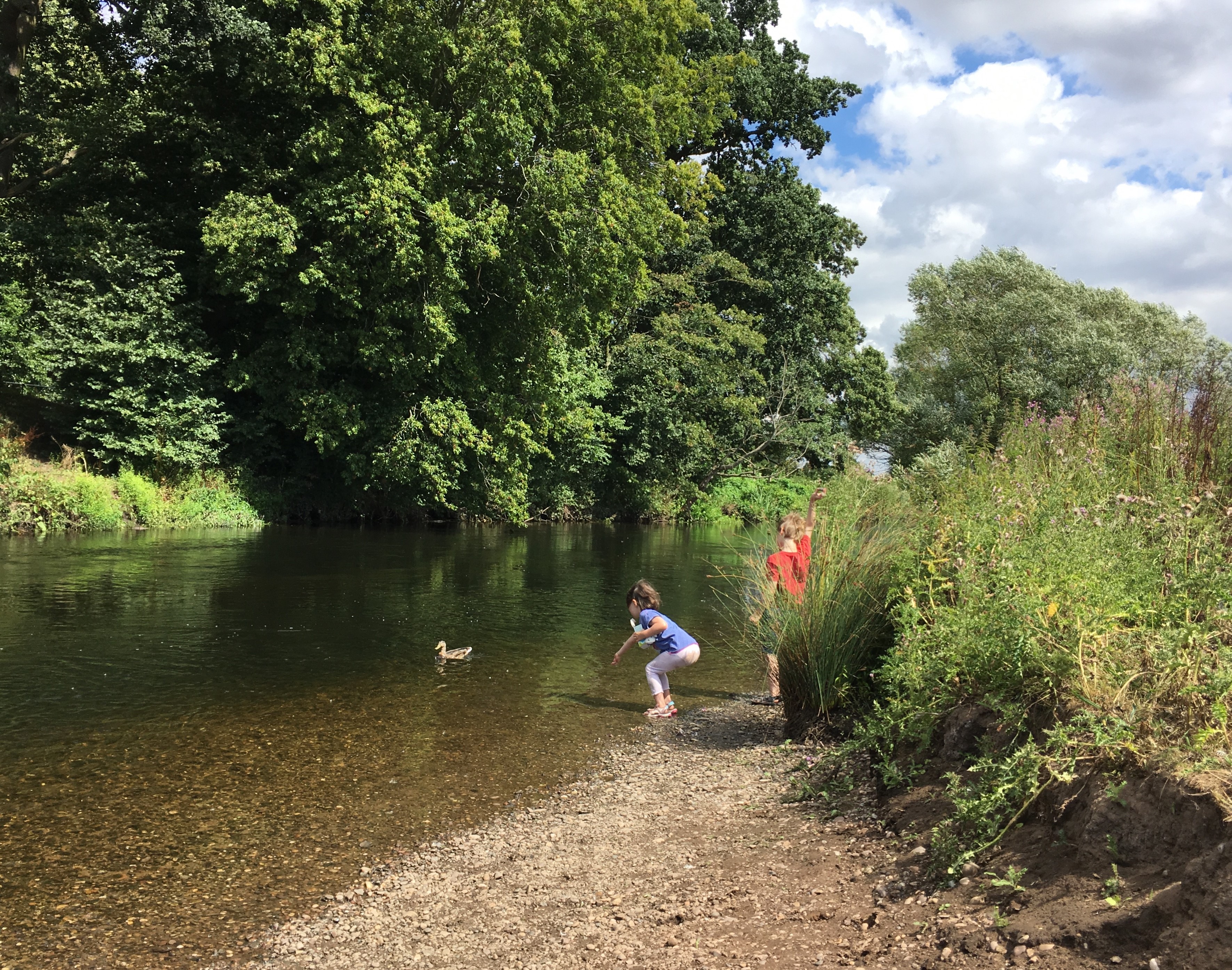 Two children feeding the ducks in a river