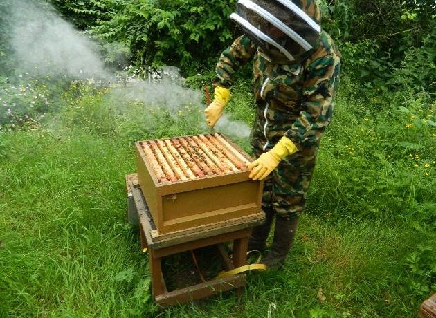 beekeeping