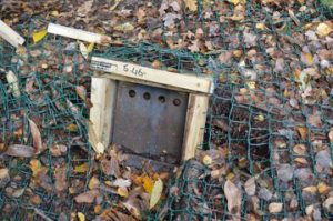 A blocked off badger sett