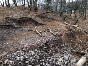 Damage at Brocton Coppice