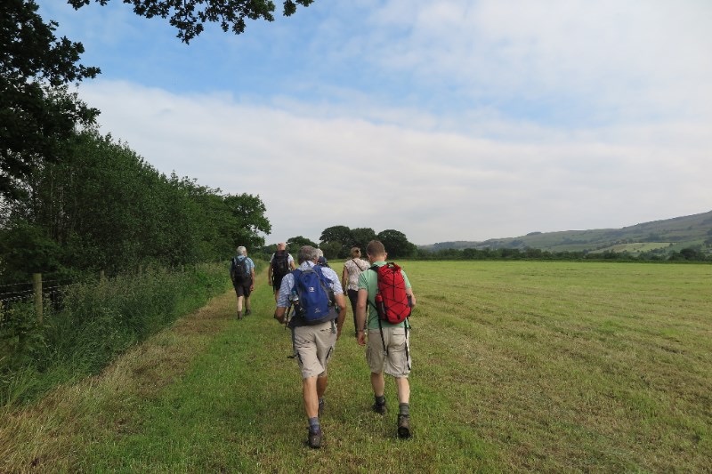 A group of people walking across a field