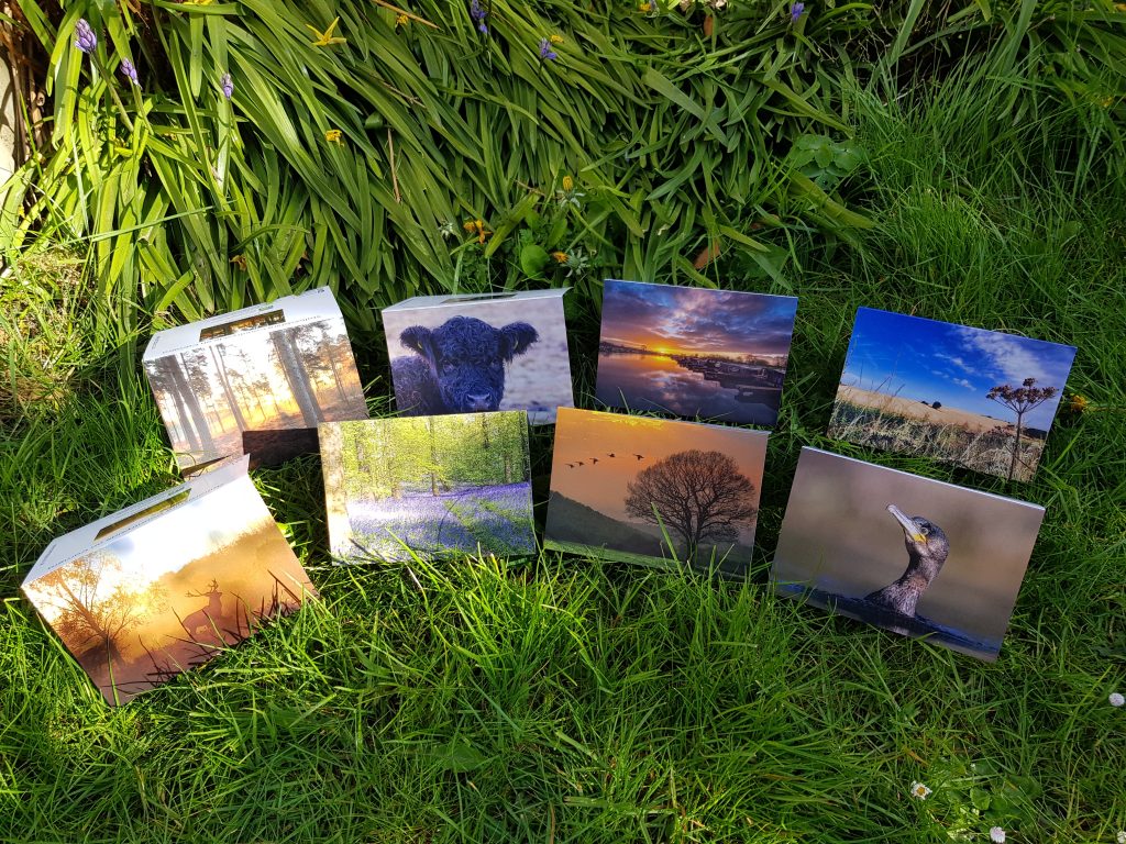 Greetings cards