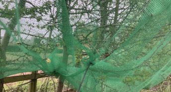 Poorly installed netting