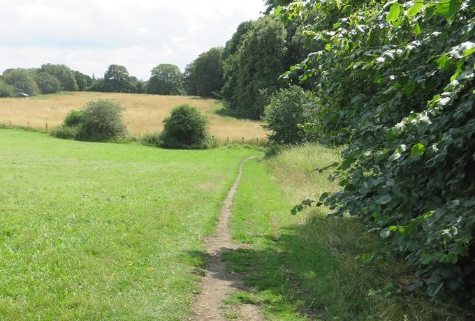 Countryside in the green belt