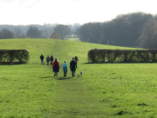 Walkers in the green belt