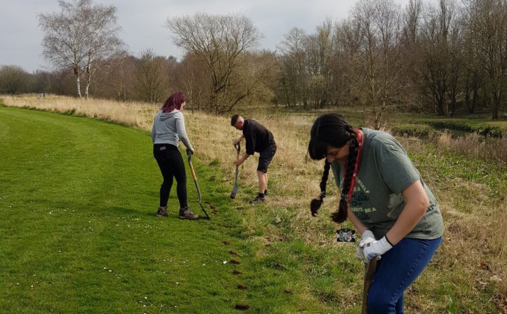 Volunteers planting a hedge