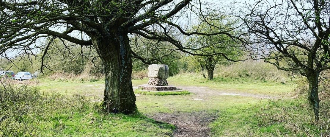 Glacial Boulder on Cannock Chase