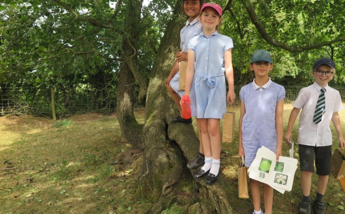 Children surveying the hedge