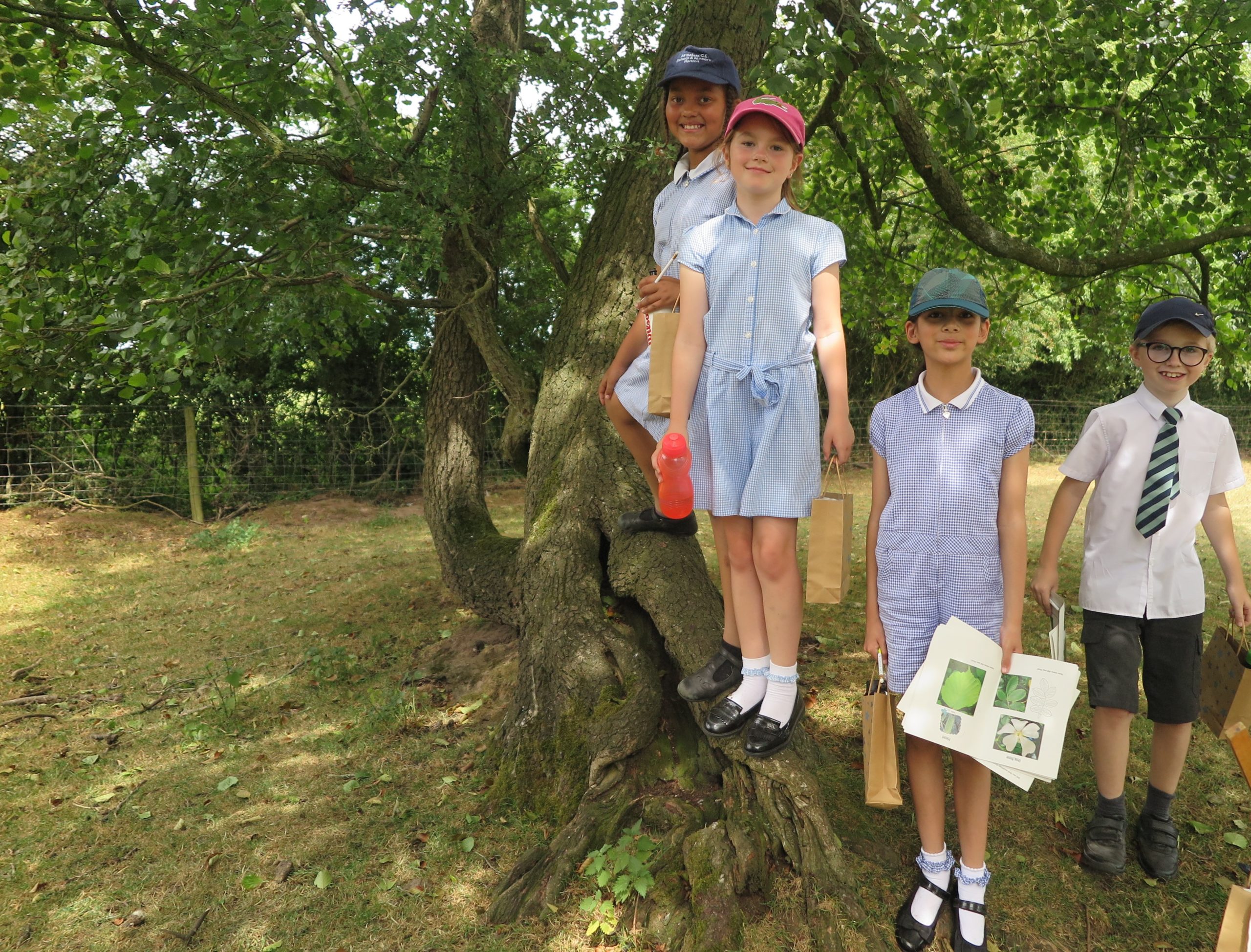 Children surveying the hedge