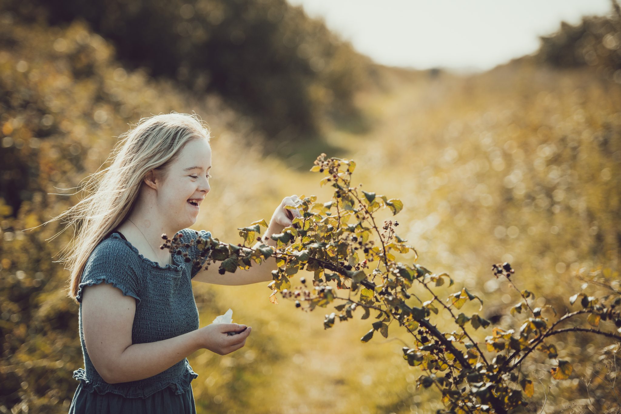 A girl picking blackberries