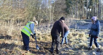 People planting a hedge