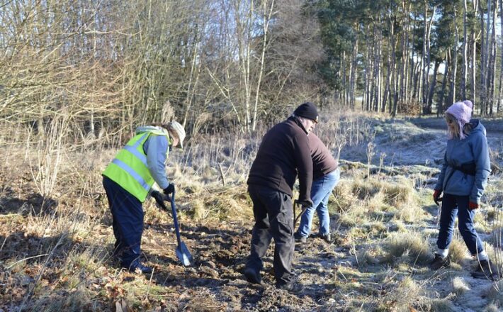 People planting a hedge